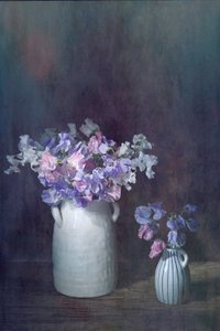  af Saskia Dingemans
