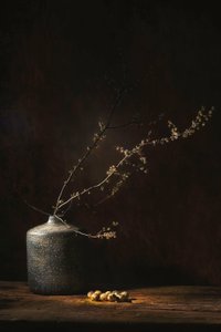  af Saskia Dingemans
