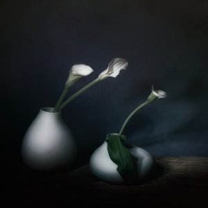  af Saskia Dingemans
