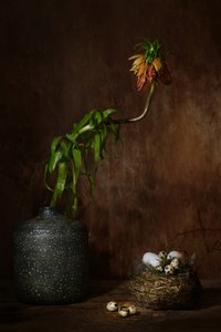  af Saskia Dingemans