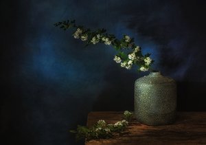  af Saskia Dingemans