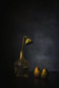  af Saskia Dingemans