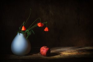  af Saskia Dingemans
