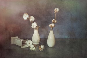  af Saskia Dingemans