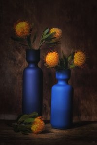  af Saskia Dingemans