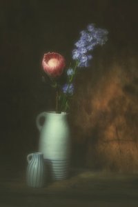  af Saskia Dingemans
