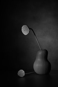  af Saskia Dingemans