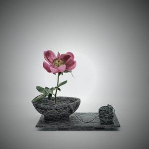  af Saskia Dingemans