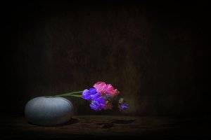  af Saskia Dingemans