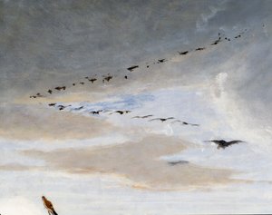 Fugle i V-formation, detalje fra Marius