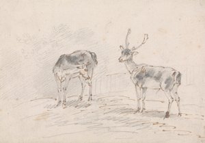 Doe og Buck af Sawrey Gilpin