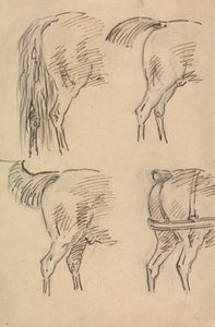 Fire Skitser af Hind Quarters of Horse af Sawrey Gilpin