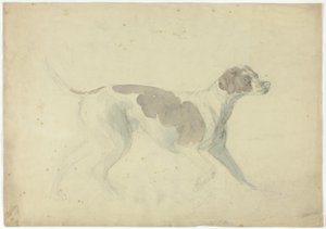 Rævehund (recto); Skitser af hest og rytter (verso) af Sawrey Gilpin