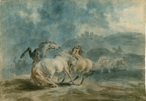Horses Fighting (wc over grafit på kraftigt tekstur lagt papir)