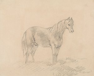 Mand Hest af Sawrey Gilpin