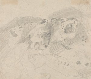To Leoparder af Sawrey Gilpin