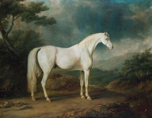 Hvid hest i et skovklædt landskab, 1791