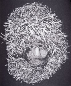 Iroquois Mask (majsskal) af School American