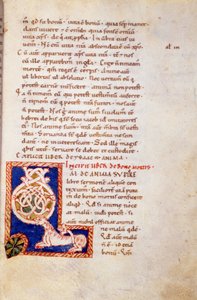 Miniature Gamle Testamente side. 13. århundrede. karolingisk var. Trivulziana bibliotek, Milano.