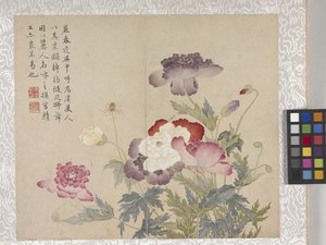 8-bladet blomsteralbum, midten af 1700-tallet (blæk og farve på papir) af School Chinese