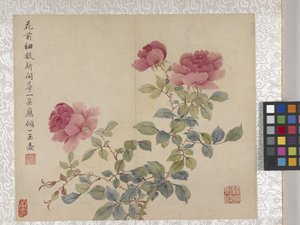 8-bladet blomsteralbum, midten af 1700-tallet (blæk og farve på papir) af School Chinese