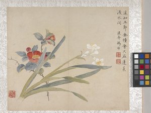8-bladet blomsteralbum, midten af 1700-tallet (blæk og farve på papir) af School Chinese