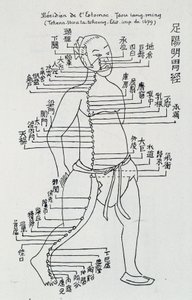 Akupunktur: "" Meridian af maven"", red. af School Chinese