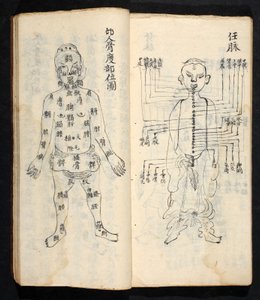 Akupunkturpunkter langs kroppens centrale linje, fra Jing Guan Qi Zhi, 