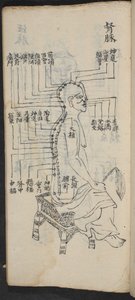 Akupunkturpunkter langs rygsøjlen og hovedet, fra Jing Guan Qi Zhi, 