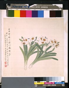 Album Of Flowers And Birds, ukendt dato (blæk og farve på silke) af School Chinese
