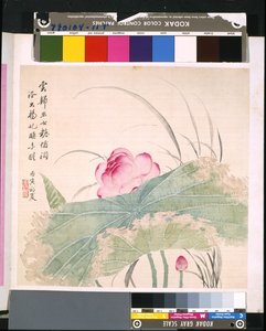 Album Of Flowers And Birds, ukendt dato (blæk og farve på silke) af School Chinese