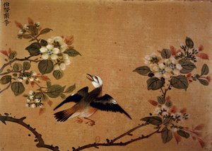 Kinesisk kunst: fugl og blomster. Silkemaleri fra 1500-tallet. Paris, B.N.