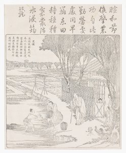 Placer frø ris i vand for at hjælpe spiring. af School Chinese