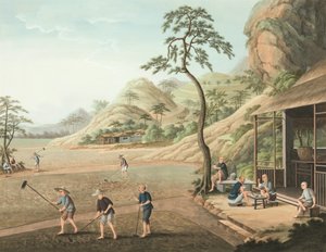 Teproduktion, ca. 1820 (kropsfarve og guldmaling på silke lagt på papir) af School Chinese