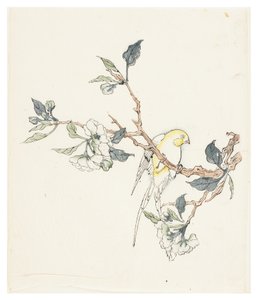 Ti Bamboo Series af School Chinese