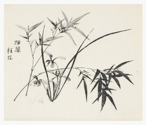 Ten Bamboo-serien af School Chinese
