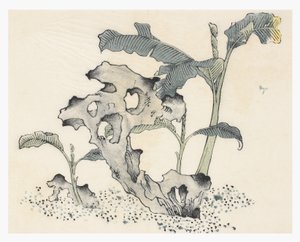 Ten Bamboo-serien af School Chinese