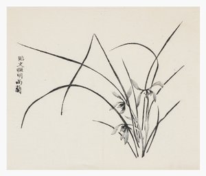 Ti Bamboo Series af School Chinese