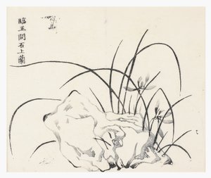 Ti Bamboo Series af School Chinese