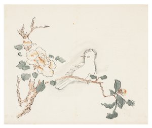 Ti Bamboo Series af School Chinese