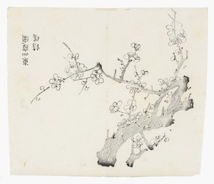 Ti Bamboo Series af School Chinese