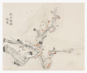 Ti Bamboo Series af School Chinese