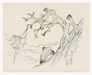 Ti Bamboo Series af School Chinese