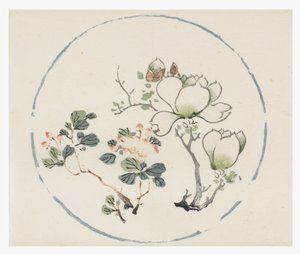 Ti Bamboo Series af School Chinese