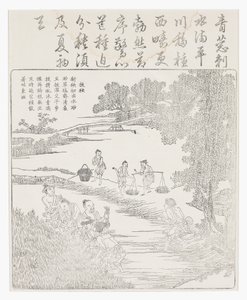 Omplantning af risplanter af School Chinese