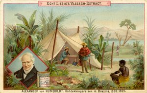 Alexander von Humboldts opdagelsesekspedition, Liebig-kort (print)