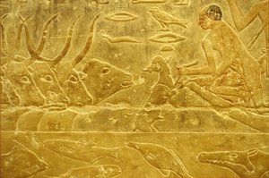 Det gamle Egypten, Vægudskæring/-maleri, Idouts mastaba/grav, Saqqara, 6. dynasti, Kvæg går over en flod, Mand hjælper en kalv over en flod, Mor ser på (foto) af School Egyptian
