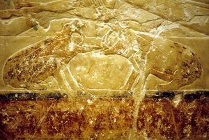 Det gamle Egypten, Vægudskæring/-maleri, Idouts mastaba/grav, Saqqara, 6. dynasti, To flodheste i kamp (foto) af School Egyptian
