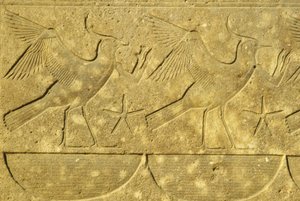 Det gamle Egypten, Vægmaleri/skulptur, Lapwings, der repræsenterer de forskellige stammer i Egypten, Karnak-templet, Luxor (foto) af School Egyptian