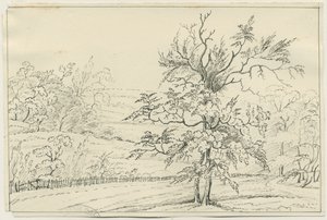 Cannock Chase: pen- og blyantstegning, nd [?1800-tallet] (tegning) af School English